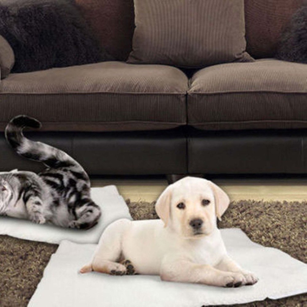 Pet Bed Blanket with Self-Heating Cushion